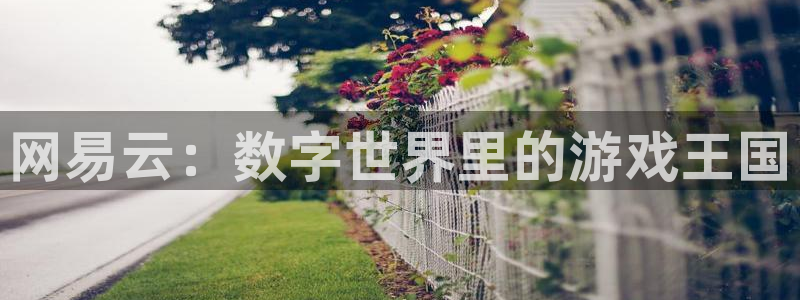 南宫娱乐加拿大